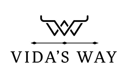 Vida's Way in Wesley ChapelVida's Way by Pulte