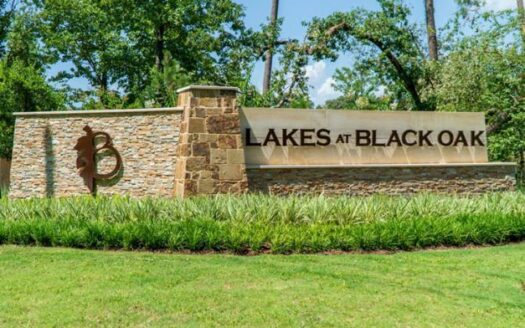 Lakes at Black Oak Exterior