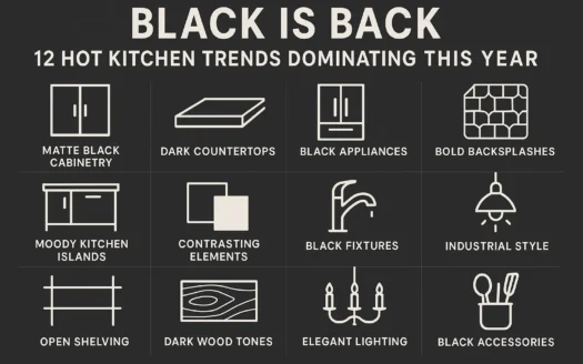 Trendy Black Kitchens infographic