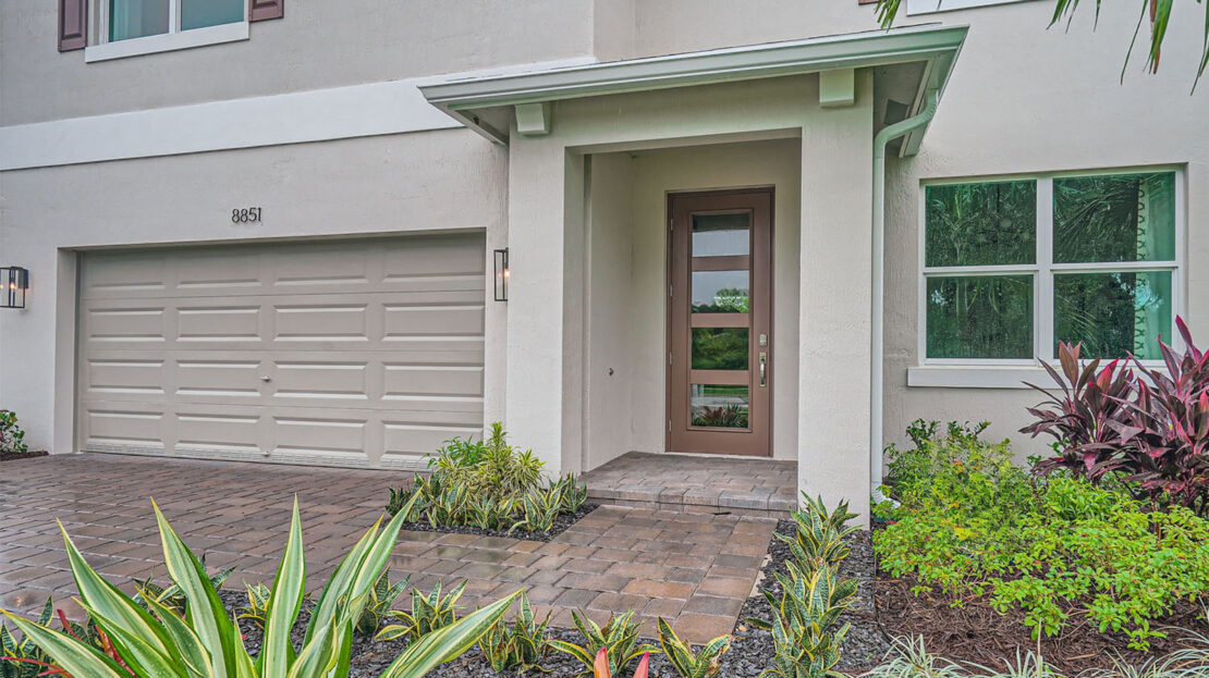 Hayden model in Stuart