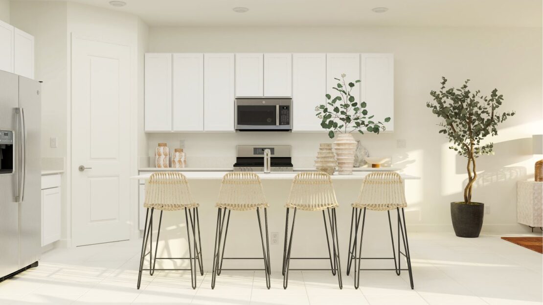 Basil model