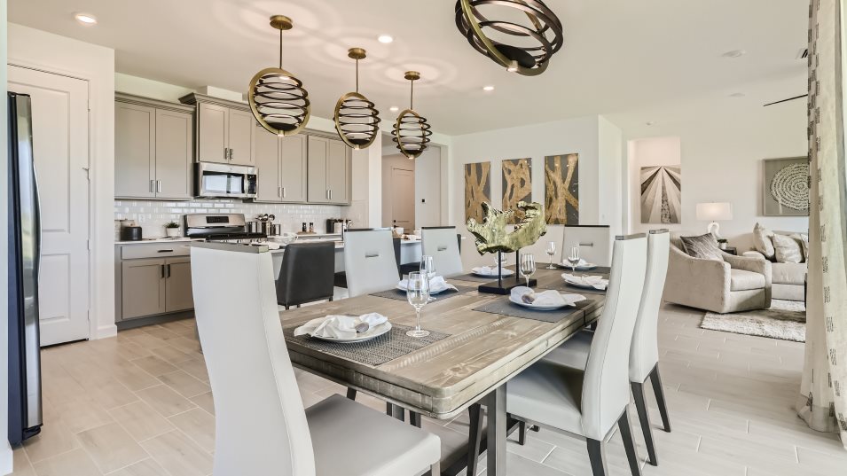 Coriander interior
