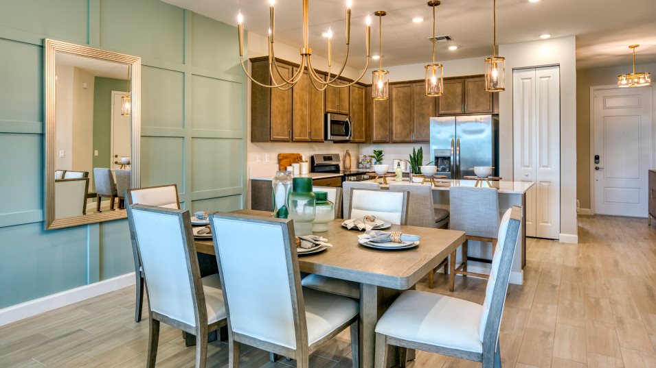 Larkspur interior