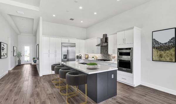 Maya Contemporary Model at Regency at Avenir by Toll Brothers