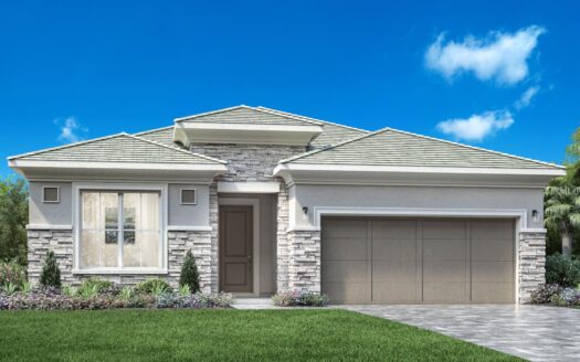 Maya Contemporary Model